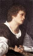 SAVOLDO, Giovanni Girolamo Bust of a Youth sg oil painting reproduction